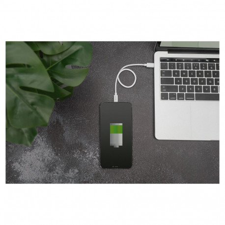 Digitus USB-C - Lightning kaabel, MFI 2m, valge