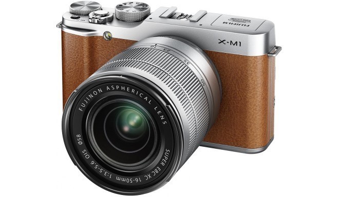 Fujifilm X-M1 + 16-50mm + 27mm, pruun
