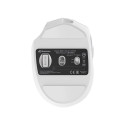 "Sharkoon OfficePal M25W (wei)"