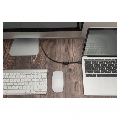 "DIGITUS USB C Adapterkabel Typ C -DP 32,4GB St/St 2.0m, sw"