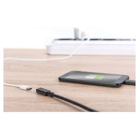 "DIGITUS USB 2.0 Verlängerungskabel Typ C -C St/Bu 1.5m, sw"