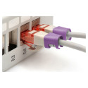 "DIGITUS Farbclips für Patchkabel 100 Stk. Violett"