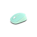Inca IWM-243RM mouse Ambidextrous RF Wireless Optical 1600 DPI