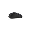 Inca IWM-300RL mouse Office Ambidextrous RF Wireless Optical 1600 DPI