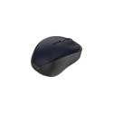 Inca IWM-300RL mouse Office Ambidextrous RF Wireless Optical 1600 DPI