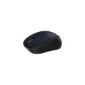 Inca IWM-300RL mouse Office Ambidextrous RF Wireless Optical 1600 DPI