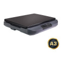 "Avision Flachbettscanner FB5100 A3"