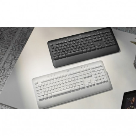 Signature K650 PAN, grafiit