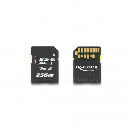 "CARD DELOCK Express Speicherkarte 256 GB"