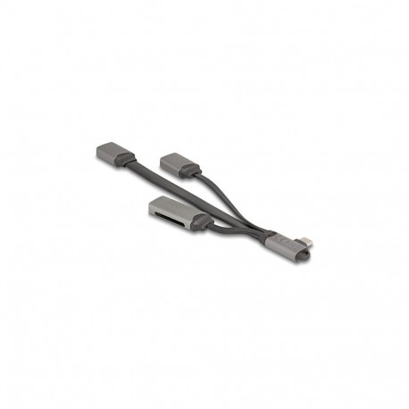 "DELOCK 2 Port USB Hub inklusive SD und Micro SD Card Reader mit USB Type-C Anschluss"