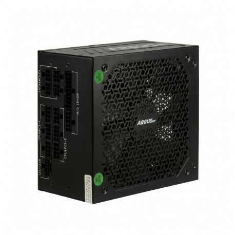 Inter Tech ArgusNT HA-1000BA4 1000W ATX 3.1 80 PLUS Gold
