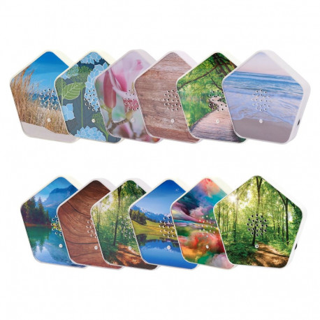 "Olympia Sound of Nature Box 1 Stk."