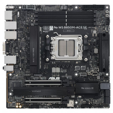 Asus PRO WS B850M-ACE SE emaplaat