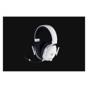 "Razer BlackShark V3 white"