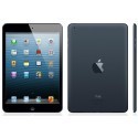 Apple iPad mini 64GB WiFi + 4G A1455 black/grey