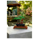 "LEGO Creator Expert Bonsai Baum"