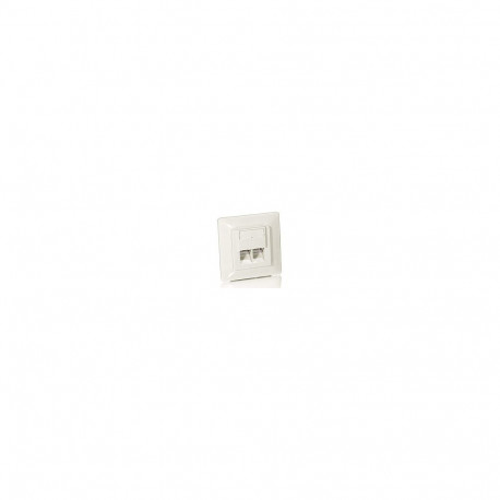 Equip RJ45 pesa 2xRJ45 Cat5e RAL 9010 puhasvalge