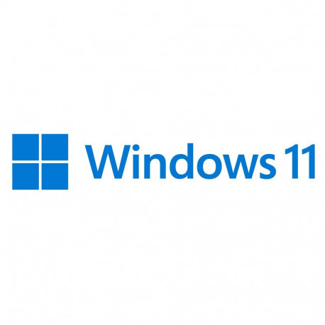 Microsoft Windows 11 Pro tööjaamadele [DE] DVD