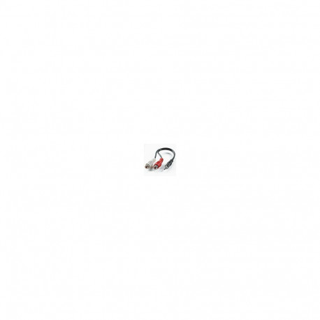 3.5MM/CINCH (2XBU) kaabel 02M