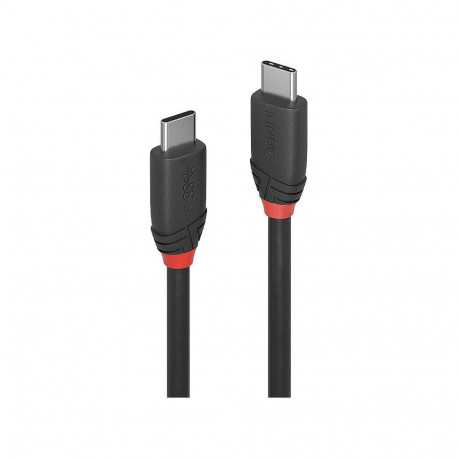 "LINDY USB 3.1 Kabel Typ C/C 3A Black Line M/M 1.5m"
