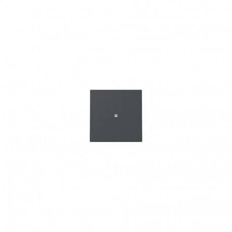 "GIRA 329028 Wippe Kontrollf. System 55 Anthrazit"