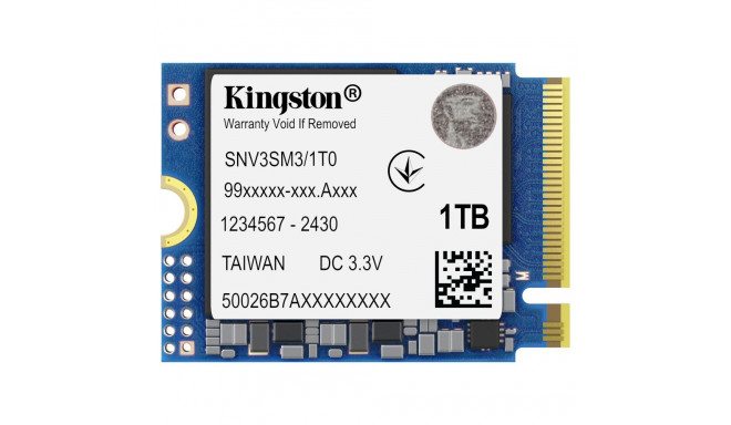 "M.2 1000G NV3 2230"