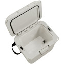 Coleman PRO 25QT (beige)