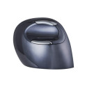 Evoluent VerticalMouse D, mouse (black / silver, large, RH)