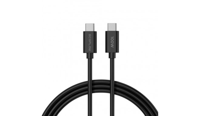 CHARGER 65W/5016801003 ECOFLOW