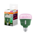 LED pirn 20W T80 E27 taimedele