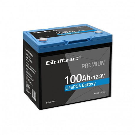LiFePO4 battery 12.8V, 100Ah, 1280Wh,BM