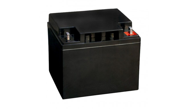 Alarm System BOSCH IPS-BAT12V-45AH