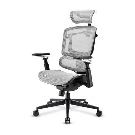 "Sharkoon Brostuhl OfficePal C50M (grau)"