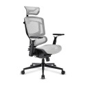 "Sharkoon Brostuhl OfficePal C50M (grau)"