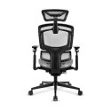 "Sharkoon Brostuhl OfficePal C50M (grau)"