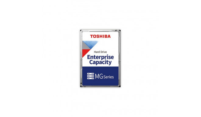 Enterprise Capacity kõvaketas 20TB