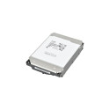 "ENTERPRISE CAPACITY HDD 22TB"