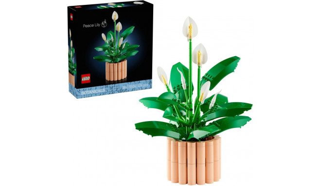 Botanicals rahulill 11504