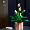 LEGO 11504 Botanicals Peace Lily, Construction Toy