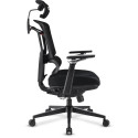 Sharkoon OfficePal C50 office chair, black