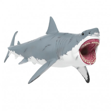 Dinosaurs Megalodon