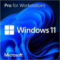 Microsoft Windows 11 Pro for Workstations, Operating System Software 64-bit, German, DVD-ROM