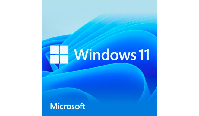 Microsoft Windows 11 Home, operating system software 64-bit, German, USB stick