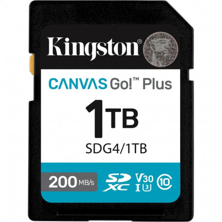 Canvas Go! Plus 1TB SDXC (schwarz, UHS-I U3, Class 10, V30)