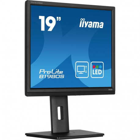 ProLite B1980S-B1 (48 cm (19 Zoll), schwarz (matt), SXGA, TN, HDMI, DP, Ergonomischer Standfuß)
