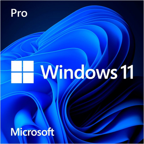 Windows operatsioonisüsteem 11 Pro 64-Bit saksa USB-mälupulk