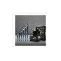 Extralink LITE 4U 10 280X310 WALL-MOUNTED RACKMOUNT CABINET GRAY