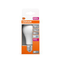 BULB LED E27 A65 9W 840 12-36V