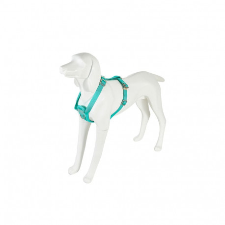 Freedog Saferide türkiissinised turvatraksid koerale S 20mm x 32/50cm