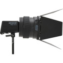 Amaran Fresnel for Ray